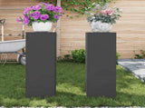 Plant Stand 2 pcs Black 24 x 24 x 75 cm Steel 865820