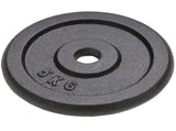 Weight Plates 4 pcs 2x10 kg2x5 kg Cast Iron 91395