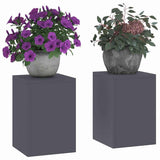 Plant Stand 2 pcs Anthracite 24 x 24 x 35 cm Steel 865808