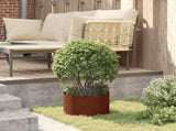 Planter Ring 5 pcs Brown 30 x 30 x 20 cm Weathering Steel 873605