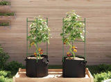 Tomato Cage with Plant Bag 2 pcs 116 cm Steel and PP 4009284