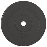 Weight Plates 4 pcs 30 kg Cement 93597