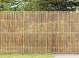 Bamboo Fence Natural 400 x 150 cm Bamboo 42006521