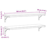 Wall Shelves 2 pcs 100x30 cm Black Stainless Steel 3214512