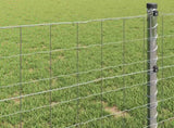 Euro Fence 0.8 x 10 m PVC-coated iron 42004644