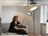 Floor Lamp 41159700