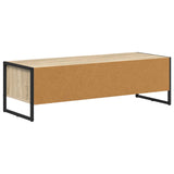 TV Cabinet Sonoma 100 x 36.5 x 30.5 cm Engineered Wood 886553