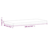 Bathroom Countertop 100x60x4 cm Solid Wood Beech 356008
