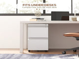 2-Drawer Mobile Filing Cabinet, Steel Lockable File Cabinet for Letter, A4 and Legal Size, T3398P343447