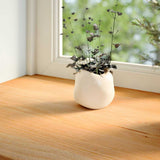 Window Sills 2 pcs Light Brown 110x25x2 cm Solid Wood Oak 4009145