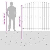 Spike Fence Asten Black 200 x 200 cm Powder-Coated Steel 42030089