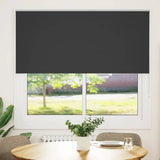 ZNTS Roller Blind Blackout Black 165x150 cm Fabric Width 161.6 cm Polyester 4010881