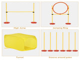 Dog agility training equipment 21596315
