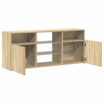 TV Cabinet with LED Lights Sonoma Oak 120x30x50 cm 804304