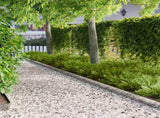Lawn Edging 10 pcs 100 x 15 cm Steel Silver 8008566