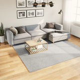 Rug HUARTE Short Pile Soft and Washable Grey 240x240 cm 375082