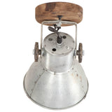 320504 Industrial Wall/Ceiling Lamps 2 pcs Silver 20x25 cm E27