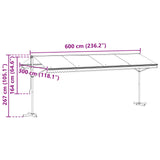 Free Standing Awning Anthracite 6 x 3 m Polyester 42033622