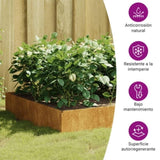 ZNTS Garden Raised Bed 100x100x33.5 cm Corten Steel 824515