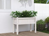 Garden Planter with Legs White 70x31x70 cm Solid Wood Pine 837556