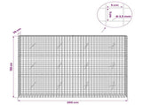 Gabion with 3.5 mm Wire and 5x5 cm Mesh 200x20x150 cm 3462166