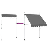 143688 Manual Retractable Awning 200 cm Anthracite