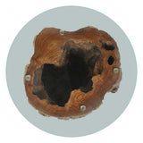 Coffee Table Teak Glass 50x40 cm 245069