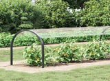 Plant Cover with Eyelets 1x6 m PVC 3308713