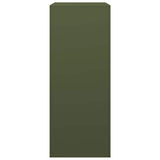 Firewood Rack Green 60x40x100 cm Steel 850992