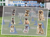 Dog Agility Equipment Set of Eight Cones 94475706