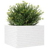Garden Planter White 70x70x46 cm Solid Wood Pine 3282415