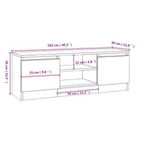 TV Cabinet with Door Concrete Grey 102x30x36 cm 823354