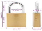 U Lock with Keys 100 pcs Brass Iron 42021901