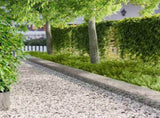 Lawn Edging 20 pcs 103 x 30 cm Steel Silver 8008515