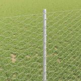 Welded Wire Fence 10 x 1 m Hot-Dip Galvanised Steel 3336964