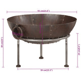 Fire Pit 55x55x38 cm Iron 351638