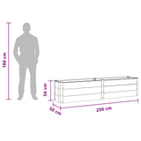 Garden Raised Bed Black 250 x 50 x 54 cm 42038988