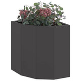 Corner Planter Black 30 x 30 x 35 cm Steel 883654
