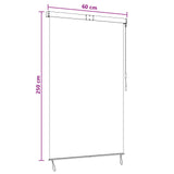 Roller Blind Black 60 x 250 cm Fabric and Aluminum 42037167