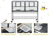 Bird Cage 09461033