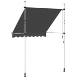 143688 Manual Retractable Awning 200 cm Anthracite