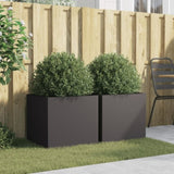 ZNTS Planters 2 pcs Black 49x47x46 cm Cold-rolled Steel 841560