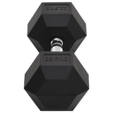 Dumbbell 22.5 kg Cast Iron 93609