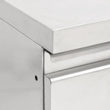 Commercial Kitchen Cabinets 2 pcs 50x60x96 cm Stainless Steel 3081934