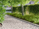 Lawn Edging 20 pcs 103 x 15 cm metal Silver 8008259