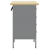 Work Cabinet with Drawer 2 pcs Red and Grey 100 x 55 x 85 cm 3321365
