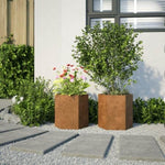 ZNTS Garden Planters 2 pcs Hexagon 46x40x45 cm Weathering Steel 851121