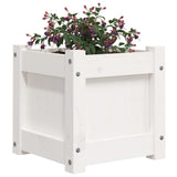 Garden Planters 2 pcs White Solid Wood Pine 837397