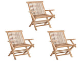 Folding Garden Chair 3 pcs Natural Solid Teak Wood 42028484