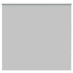 ZNTS Roller Blind Blackout Light Grey 165x130 cm Fabric Width 161.6 cm Polyester 4011375